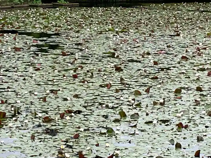 龍安寺(京都府)