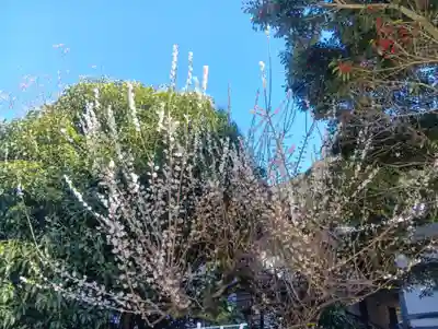岐阜護國神社(岐阜県)