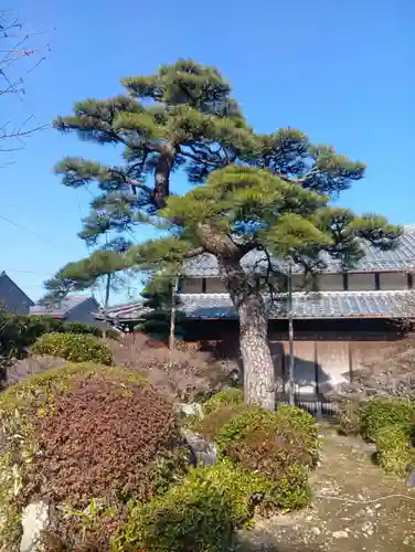 金鳳山 正法寺(岐阜県)