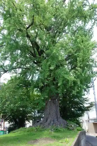 津島神社の周辺