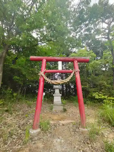 賀茂別雷神社(栃木県)
