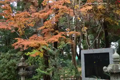 鶴嶺八幡宮(神奈川県)