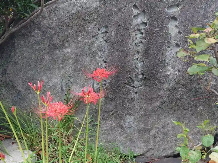 養玉院如来寺(東京都)