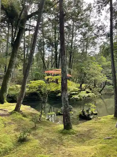 西芳寺の庭園