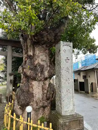 畑子安神社のその他建物