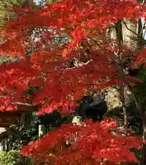 比々多神社の自然