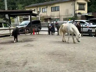 丹生川上神社（下社）(奈良県)