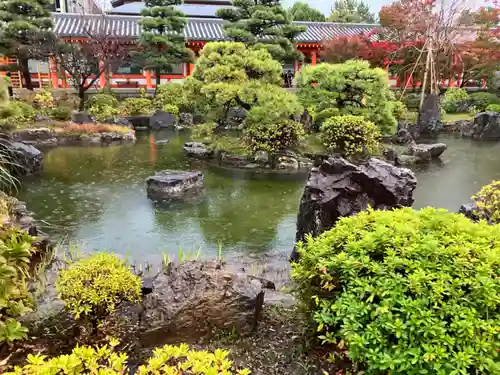 蓮華王院（三十三間堂）の庭園