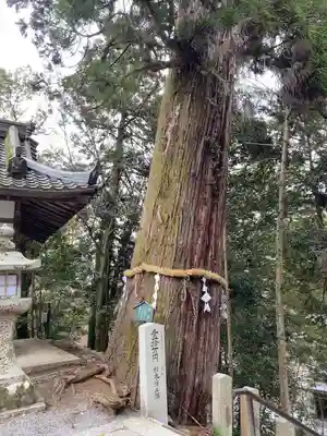 石山寺(滋賀県)