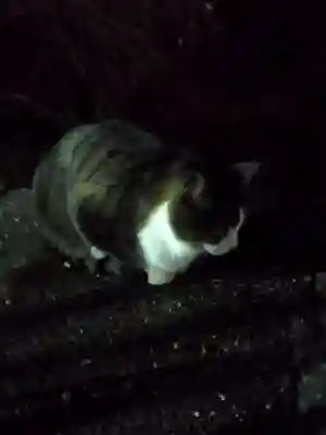 伏見稲荷大社 奥社奉拝所(京都府)