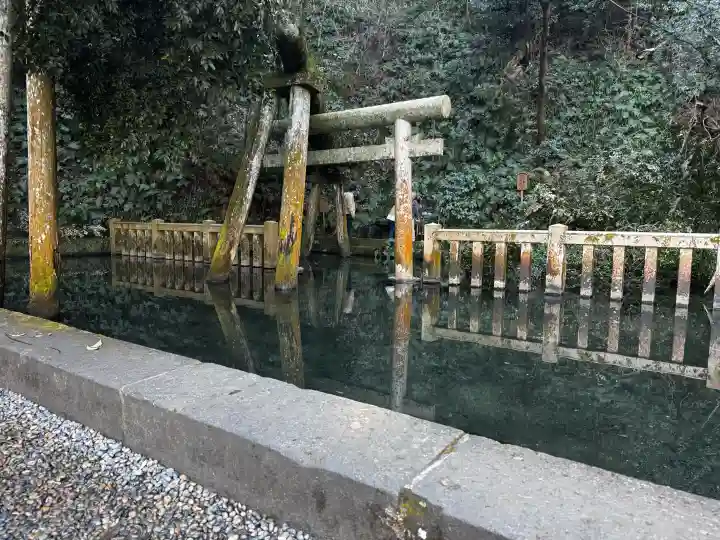 鹿島神宮の{uncategorized: "未分類", other: "その他", undefined: "問題あり", building: "その他建物", grave: "お墓", sacred_gate: "鳥居", guardian: "狛犬", statue: "像", buddha: "仏像", history: "歴史", nature: "自然", garden: "庭園", animal: "動物", pagoda: "塔", temizu: "手水舎", mountain_gate: "山門・神門", sanctuary: "本殿・本堂", subordinate: "末社・摂社", art: "芸術", scenery: "景色", jizo: "地蔵", ema: "絵馬", goshuin: "御朱印", omikuji: "おみくじ", items: "授与品その他", amulet: "お守り", goshuincho: "御朱印帳", eats: "食事", festival: "お祭り", votive_dance: "神楽", shichigosan: "七五三参", wedding: "結婚式", experience: "体験その他", initially: "初詣", around: "周辺", anti_infection: "感染症対策"}