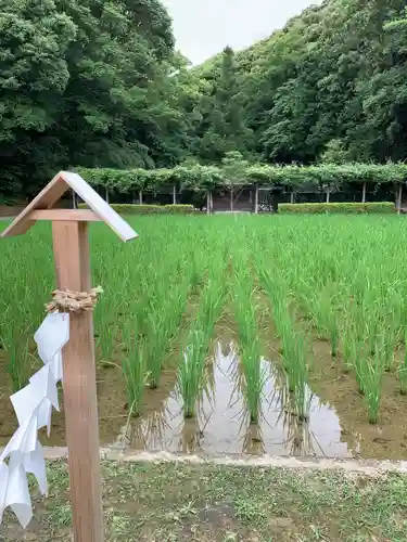 猿田彦神社(三重県)
