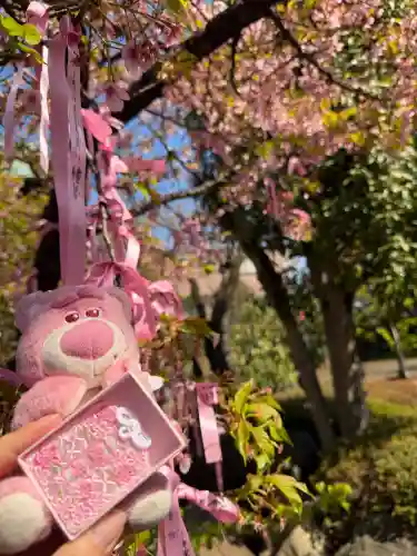桜神宮の{uncategorized: "未分類", other: "その他", undefined: "問題あり", building: "その他建物", grave: "お墓", sacred_gate: "鳥居", guardian: "狛犬", statue: "像", buddha: "仏像", history: "歴史", nature: "自然", garden: "庭園", animal: "動物", pagoda: "塔", temizu: "手水舎", mountain_gate: "山門・神門", sanctuary: "本殿・本堂", subordinate: "末社・摂社", art: "芸術", scenery: "景色", jizo: "地蔵", ema: "絵馬", goshuin: "御朱印", omikuji: "おみくじ", items: "授与品その他", amulet: "お守り", goshuincho: "御朱印帳", eats: "食事", festival: "お祭り", votive_dance: "神楽", shichigosan: "七五三参", wedding: "結婚式", experience: "体験その他", initially: "初詣", around: "周辺", anti_infection: "感染症対策"}