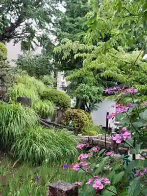鳩森八幡神社(東京都)