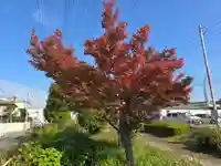 大師寺 平野別院(大阪府)