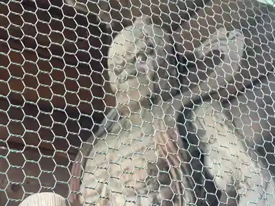 屋島寺(香川県)