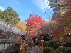 十輪寺(京都府)