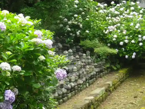 光明寺の庭園