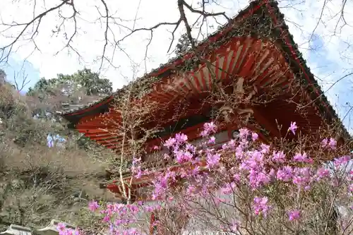 新大佛寺の自然