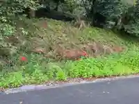 大宮温泉神社(栃木県)