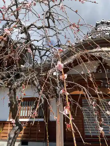 宗栄寺(愛知県)