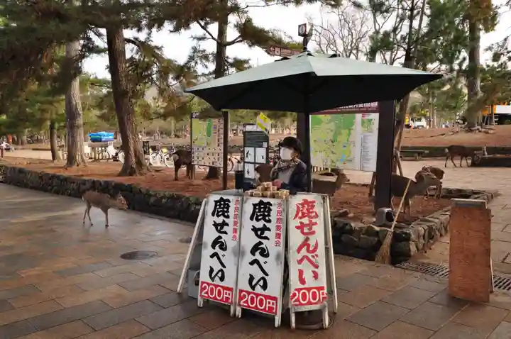 東大寺(奈良県)