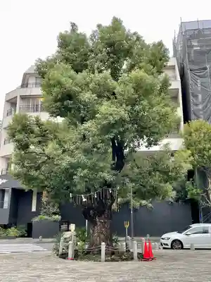 太田姫稲荷神社(東京都)