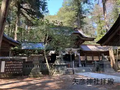 矢彦神社(長野県)