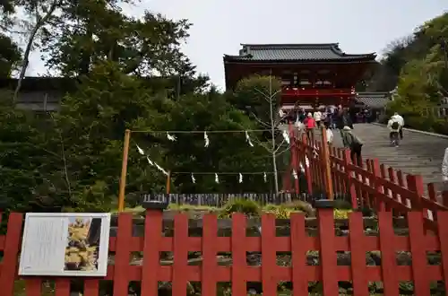 鶴岡八幡宮の自然