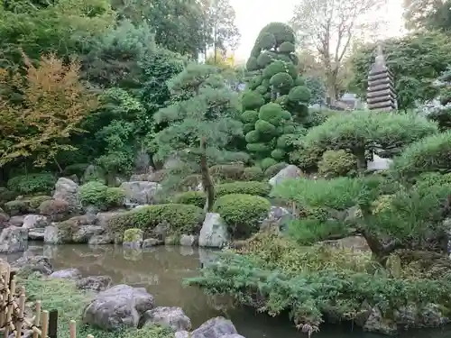 寳光寺　鹿野大佛の庭園