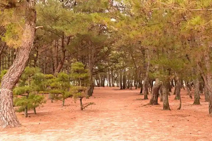 綱敷天満神社(愛媛県)
