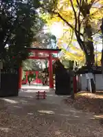 河合神社(鴨川合坐小社宅神社)の鳥居
