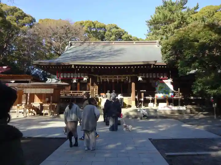 平塚八幡宮の本殿・本堂