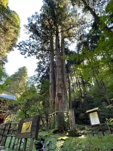 御岩神社(茨城県)