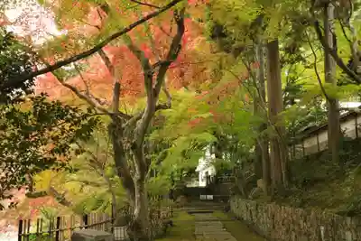 苗秀寺(京都府)