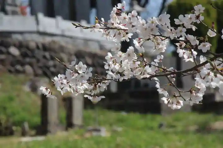 国宝 大法寺(長野県)