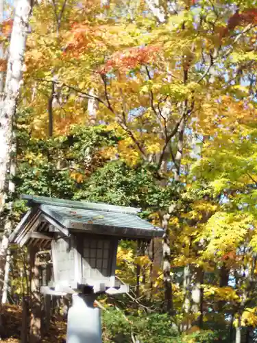 岩内神社の自然