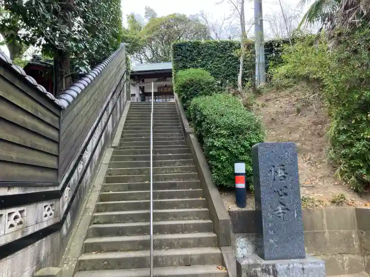 悟心寺の{uncategorized: "未分類", other: "その他", undefined: "問題あり", building: "その他建物", grave: "お墓", sacred_gate: "鳥居", guardian: "狛犬", statue: "像", buddha: "仏像", history: "歴史", nature: "自然", garden: "庭園", animal: "動物", pagoda: "塔", temizu: "手水舎", mountain_gate: "山門・神門", sanctuary: "本殿・本堂", subordinate: "末社・摂社", art: "芸術", scenery: "景色", jizo: "地蔵", ema: "絵馬", goshuin: "御朱印", omikuji: "おみくじ", items: "授与品その他", amulet: "お守り", goshuincho: "御朱印帳", eats: "食事", festival: "お祭り", votive_dance: "神楽", shichigosan: "七五三参", wedding: "結婚式", experience: "体験その他", initially: "初詣", around: "周辺", anti_infection: "感染症対策"}