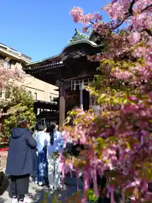 桜神宮(東京都)