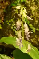 定福寺(高知県)