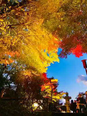 長谷寺(神奈川県)