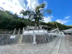 大禅寺(三重県)