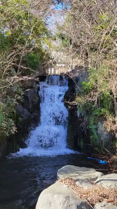 富士山東口本宮 冨士浅間神社の自然