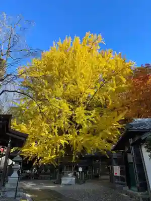 正法寺(滋賀県)