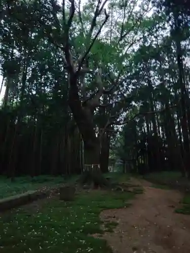六嶽神社(下社)(福岡県)