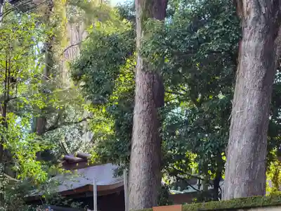 日置神社(愛知県)