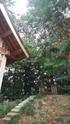 常磐神社の本殿・本堂