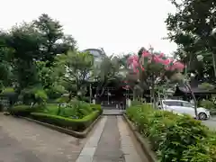 白山神社の建物その他