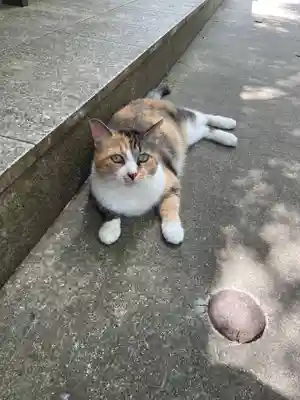 玉野御嶽神社(愛知県)