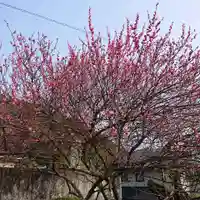 金熊寺(大阪府)